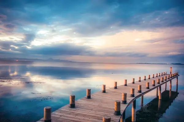 美食沉浸做法视频播放