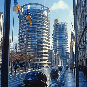 红豆蛋挞美食做法