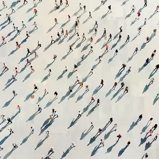 鲤鱼干做法教程美食